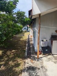 Frankel Estate (D15), Detached #549351021